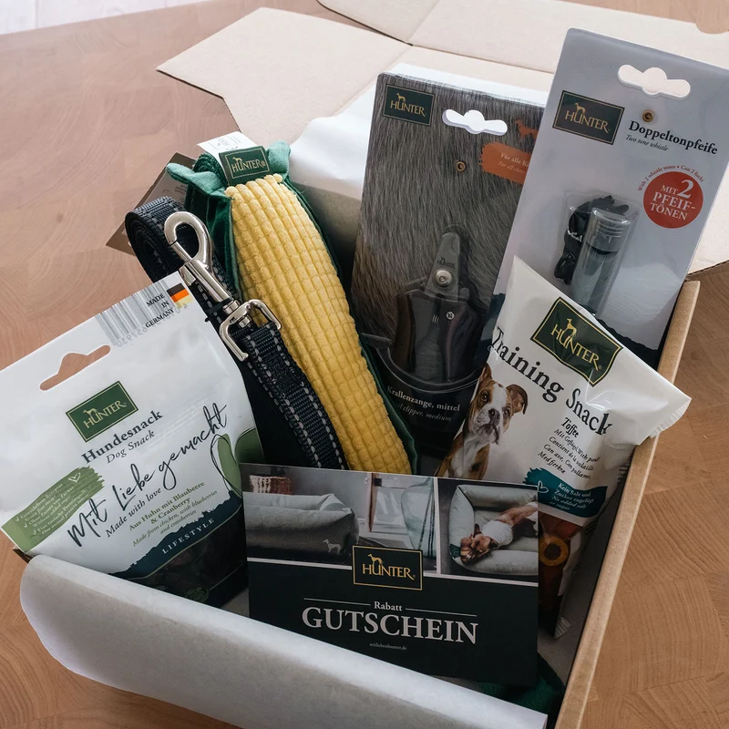 Seniorenbox Hund