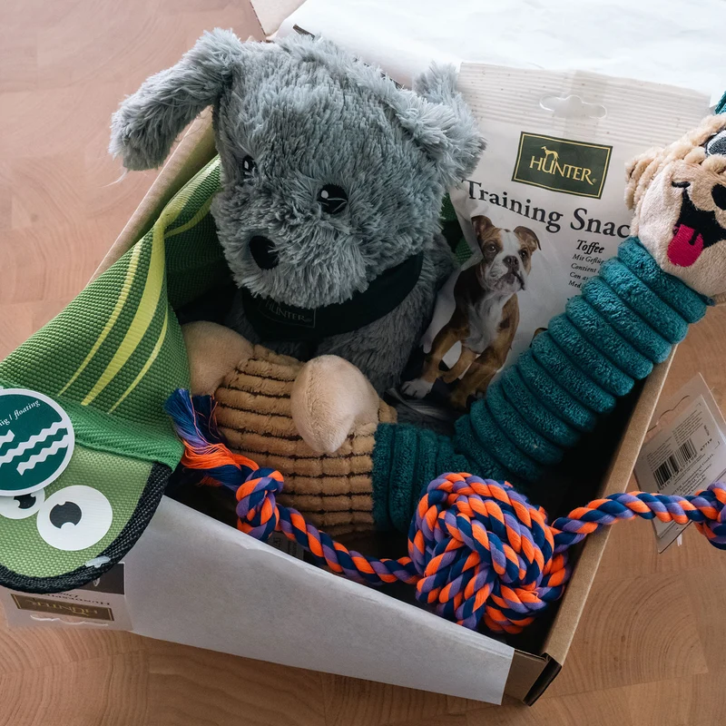 Spielzeugbox Hund