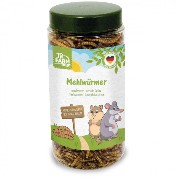 JR FARM Mehlwürmer – Eiweißreicher Snack für Kleinnager
