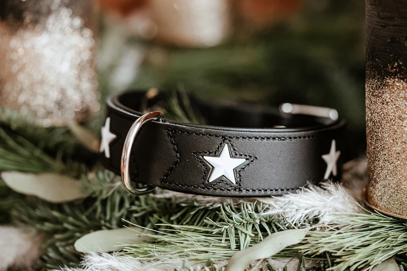 MAGIC STAR Set Halsband & Leine | schwarz