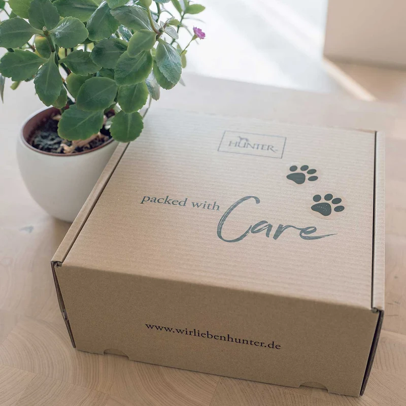 Spielzeugbox Katze