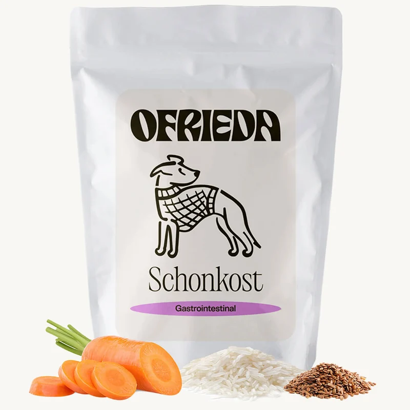 Schonkost Trockenfutter – Insekten Hundefutter gastrointestinal
