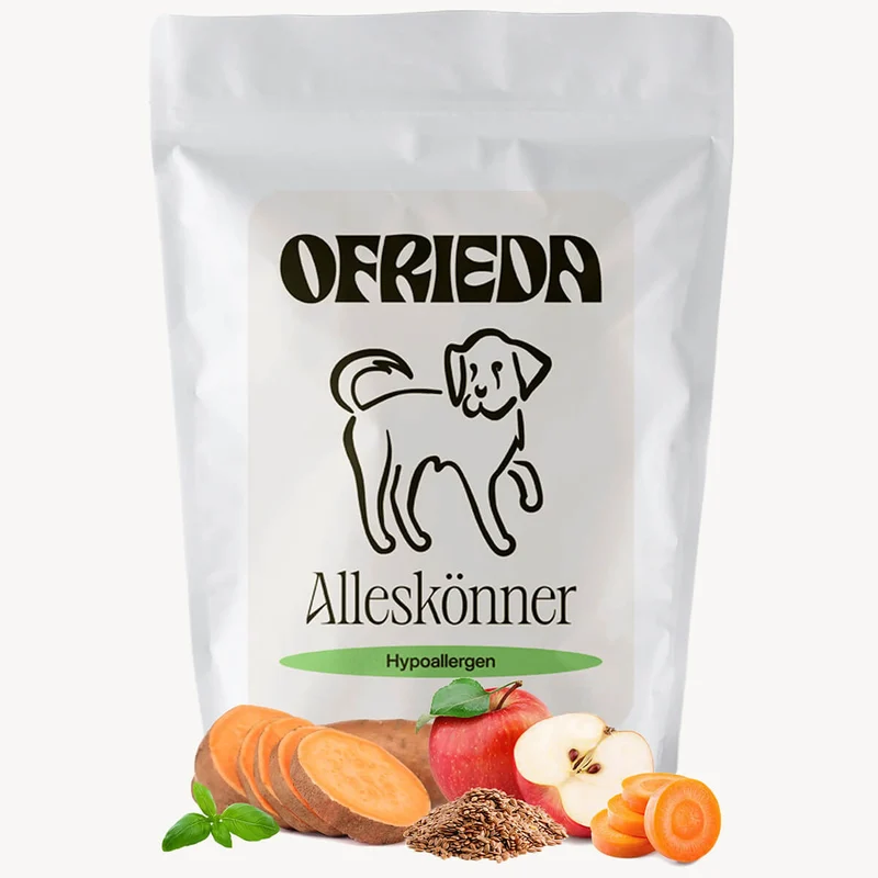 Alleskönner Trockenfutter – Insekten Hundefutter hypoallergen