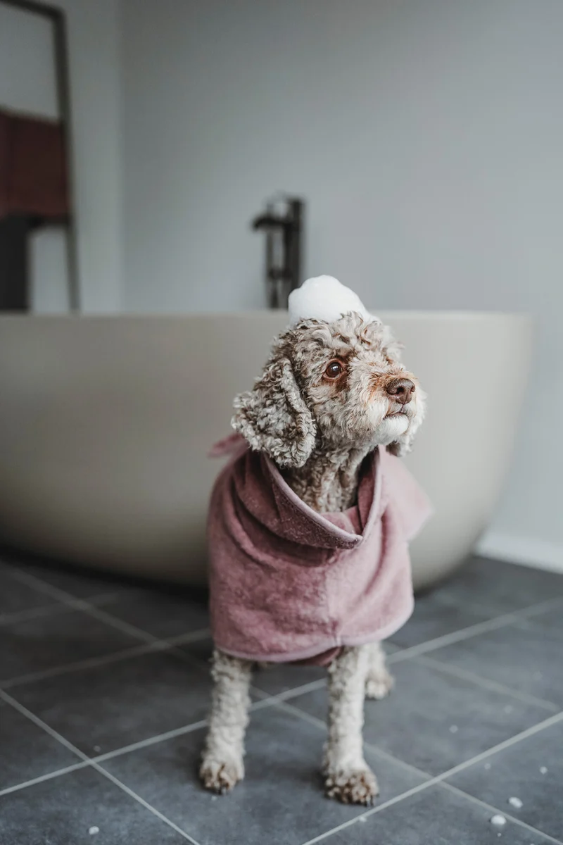 RIGA Set Bademantel & Shampoo | altrosa