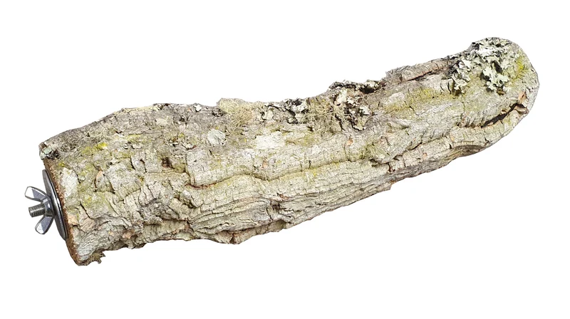 Kork-Sitzstange Medium – Natürliche Sitzstange für Vögel
