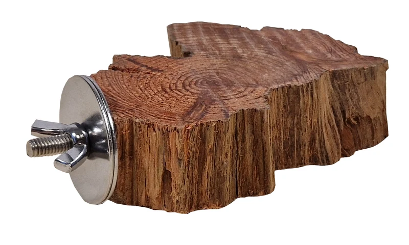 Sitzbrett Wurzelscheibe Mini – Natürlicher Sitzplatz für Vögel & Kleintiere