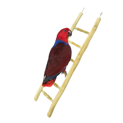 Java Leiter 60 cm – Natürliche Kletterleiter für Vögel