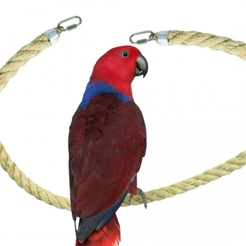 Sisalseil Sitzstange 25 mm – 100 cm