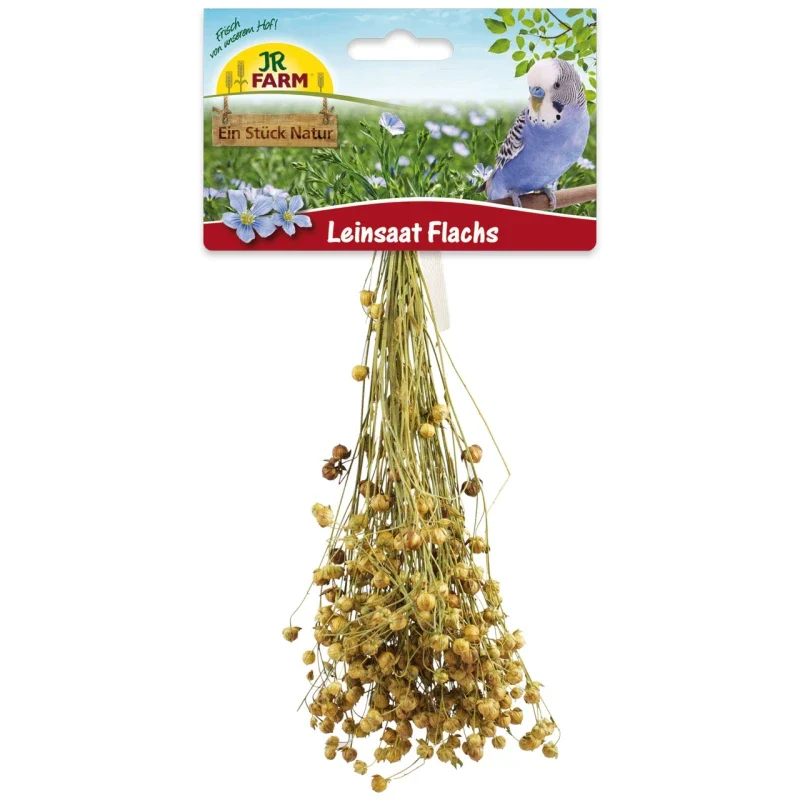 Leinsaat Flachs von JR Farm