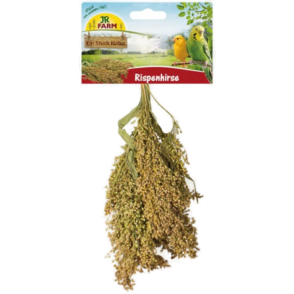 Rispenhirse von JR Farm