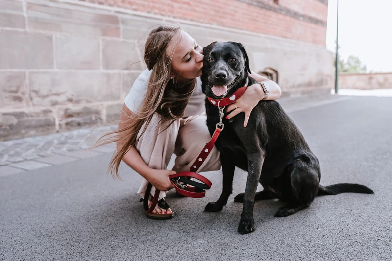 LOVE Set Halsband & Leine | rot/schwarz