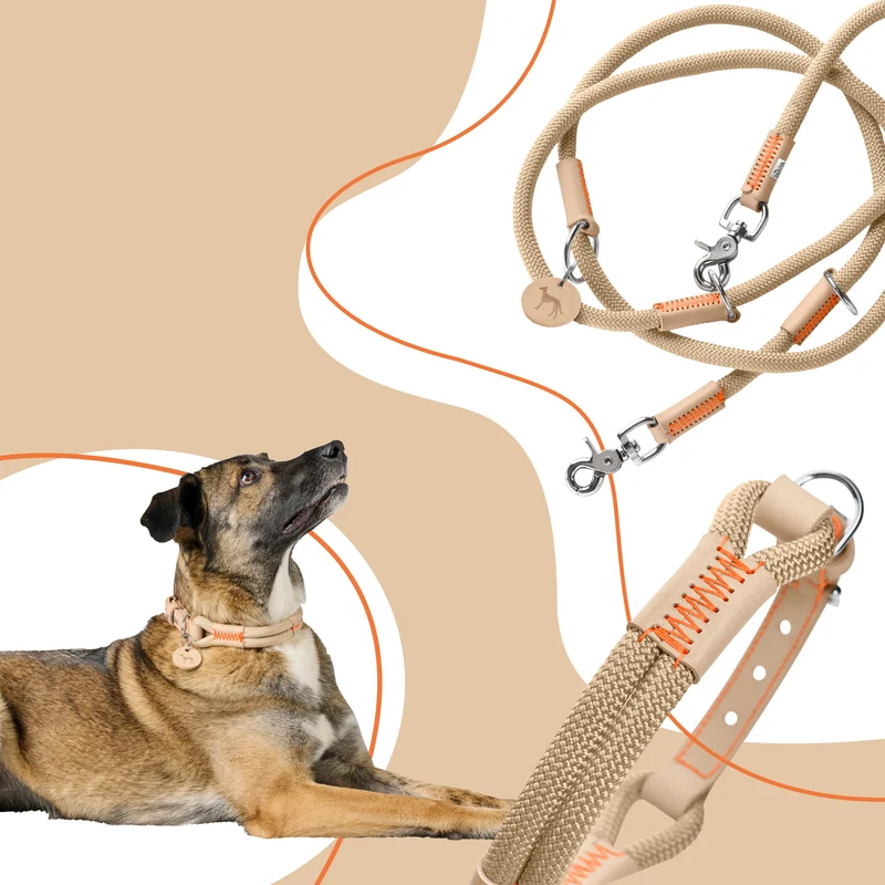 MALIA Set Halsband & Leine | beige