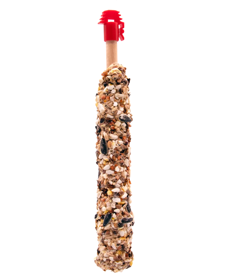 STICKS GROSSSITTICHE MIT NÜSSEN & ROSINENTOPPING von Versele-Laga