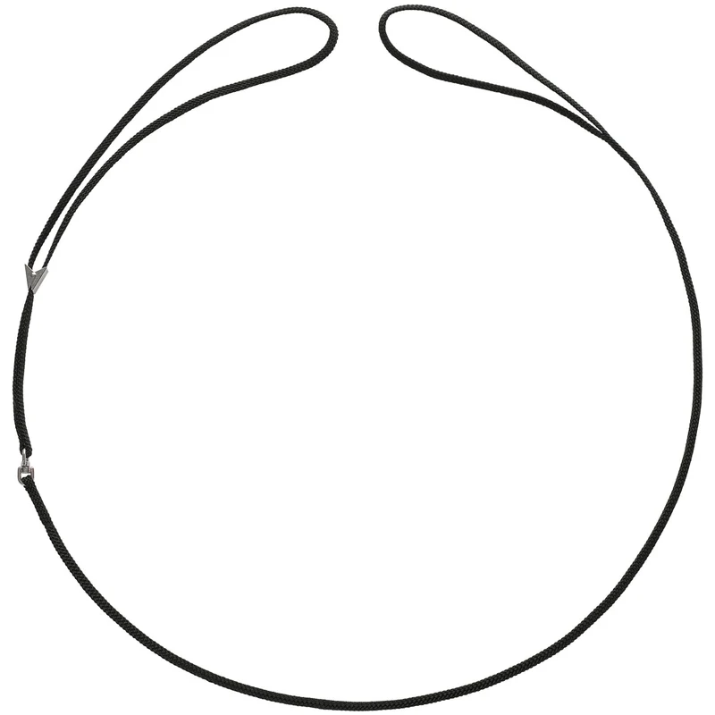 Vorführleine mit integrierter Halsung