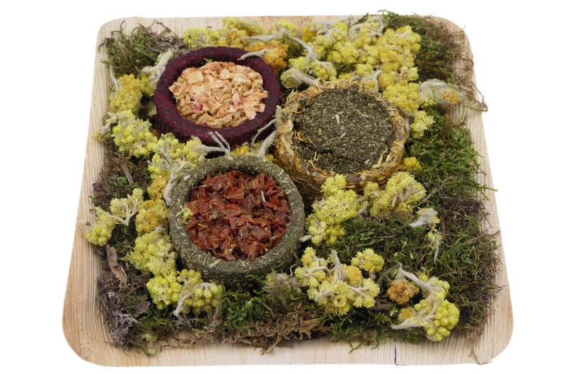 Sushi Allerlei von Hugro