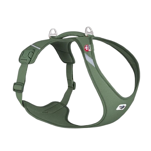 Curli All New Belka Comfort