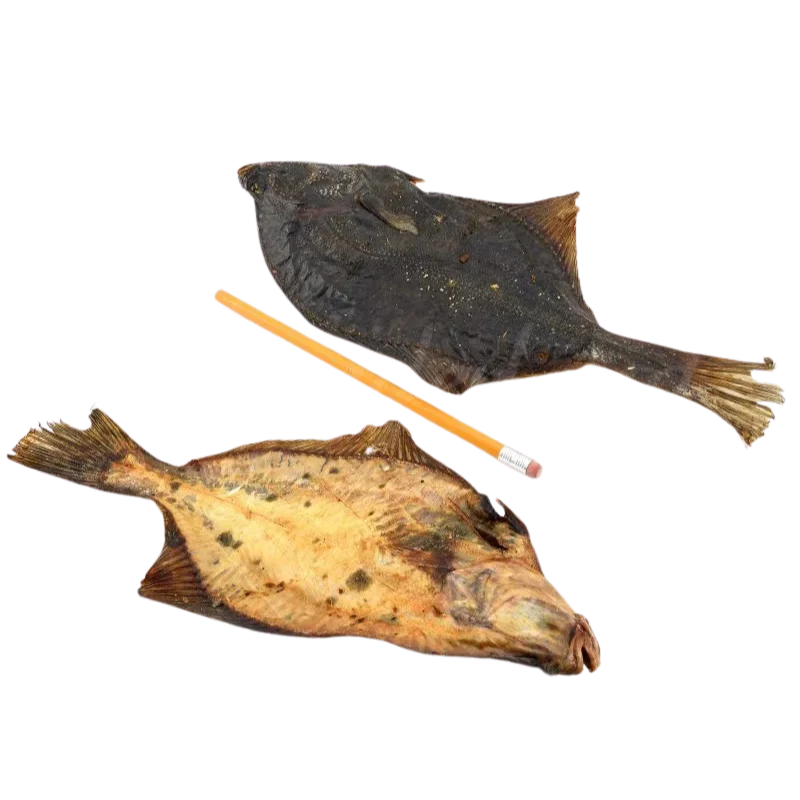 Lunderland Flunder