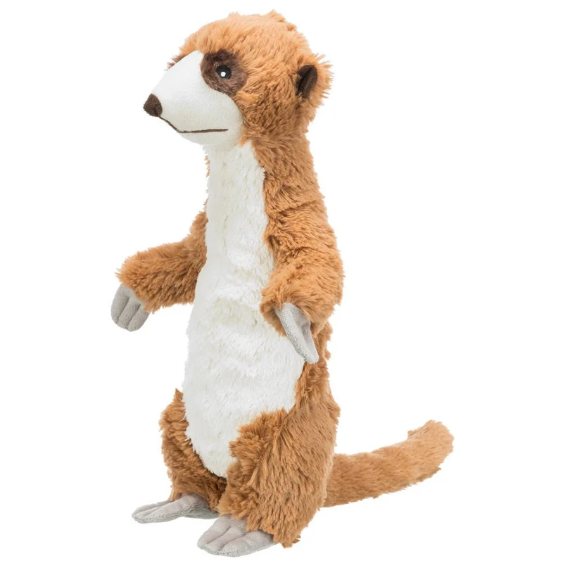 Erdmännchen mit Stimme