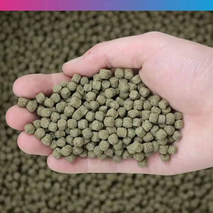 NT Labs Medikoi Probiotic Fish Food