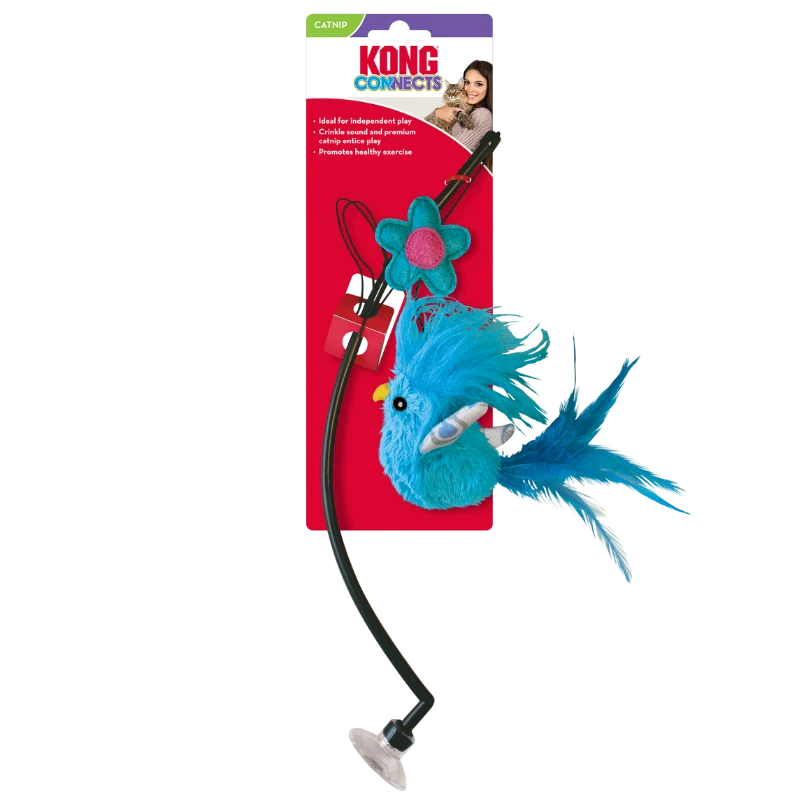KONG Cat Connects Window Teaser