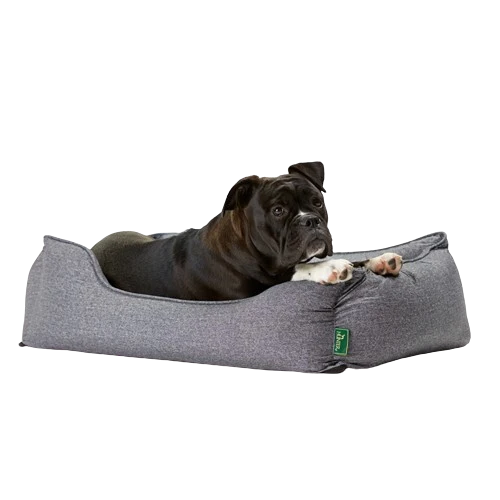 HUNTER Hundesofa Boston