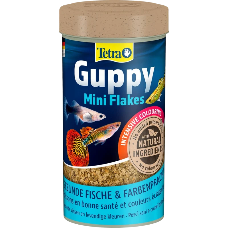Tetra Guppy