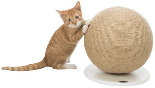 TRIXIE Kratzball auf Platte