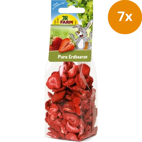 JR FARM Pure Erdbeeren 20 g