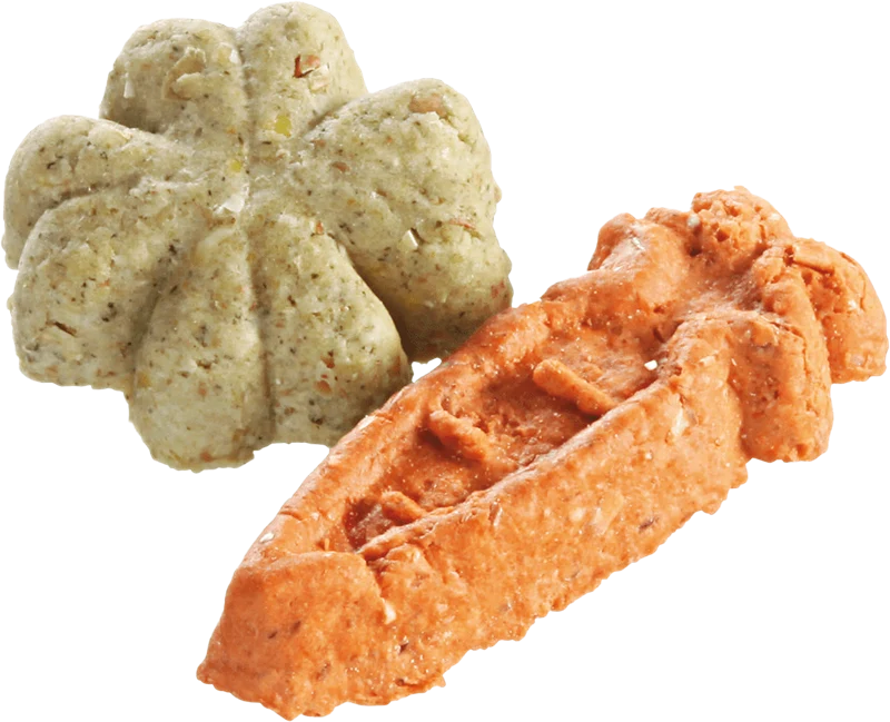 Animal Lovers Premium Hundekuchen vegetarische Selektion Veggie Snack