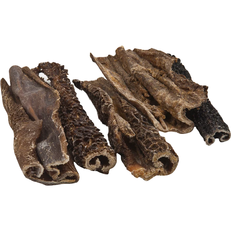 BTG Classic Dog Pansen Natur 5000 g