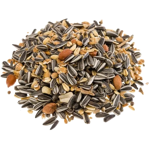 BTG Classic Bird Meisenmix