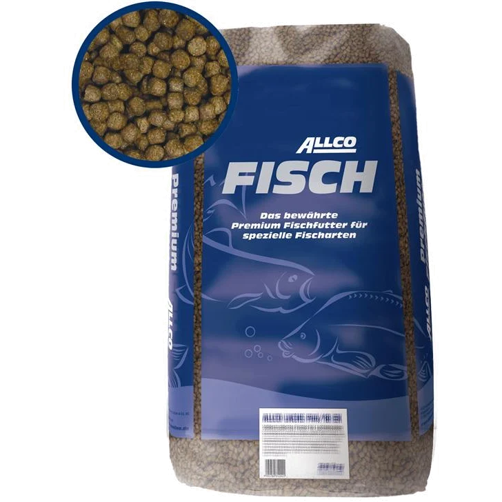 Allco Forelle schwimmend