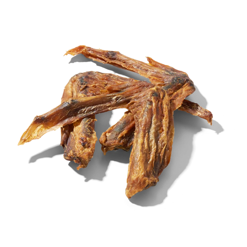 Entenflügel