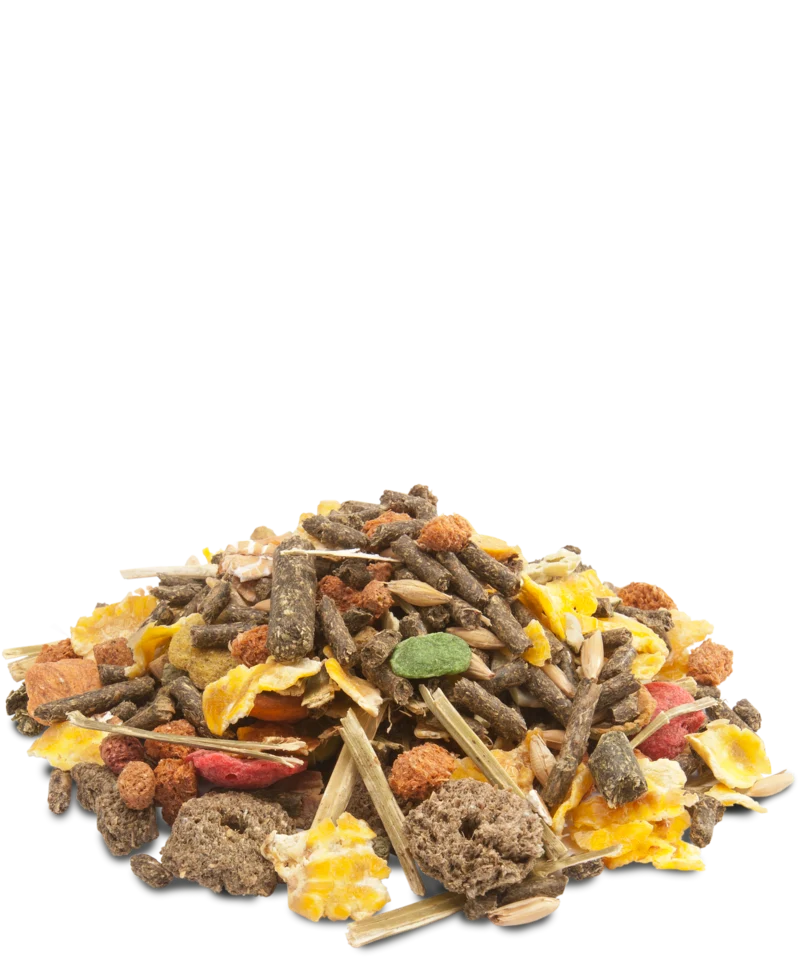 MUESLI - GUINEA PIGS von Versele-Laga