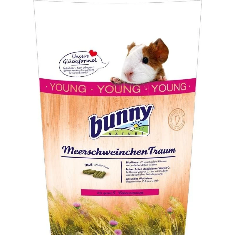 MeerschweinchenTraum young