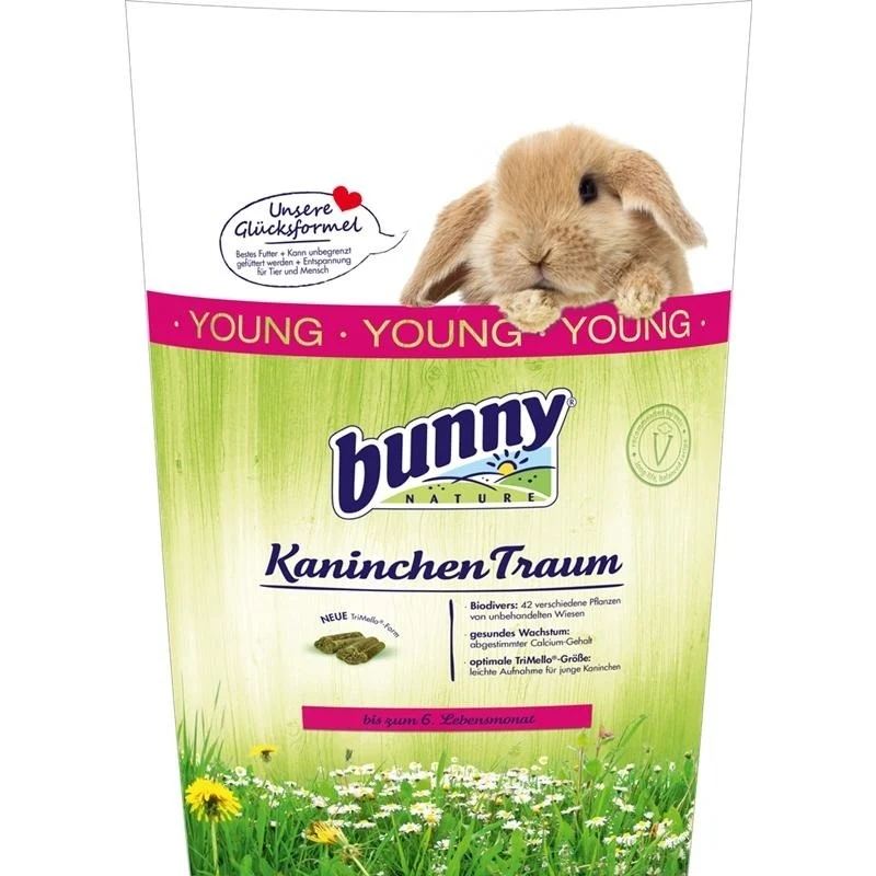 Kaninchen Traum young