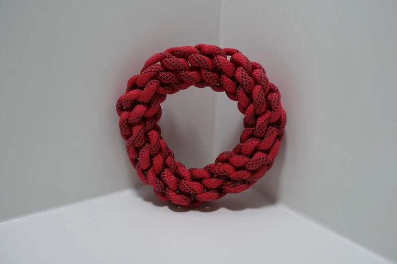 Schwimmfähiger Ring