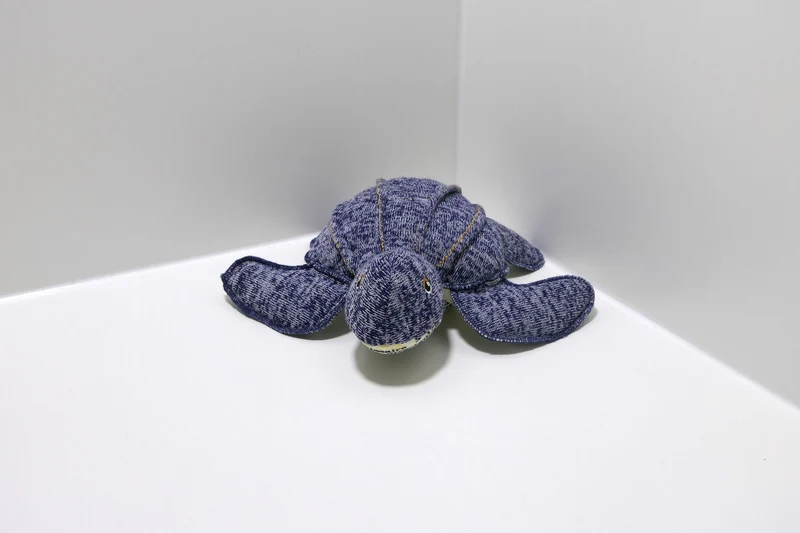 Spielzeug Schildkröte Blau
