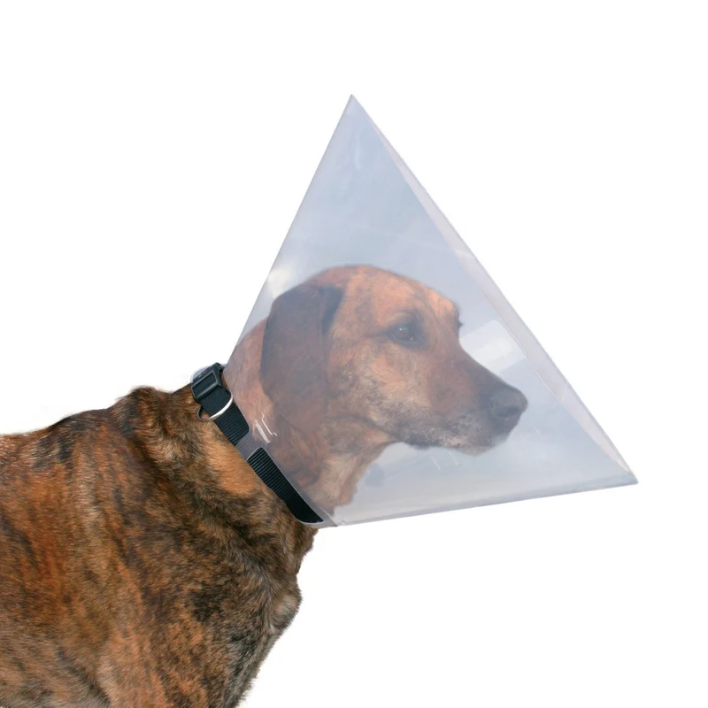 Schutzkragen für Hund und Katze