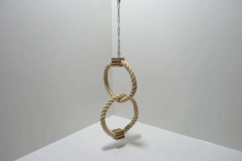 Kletterring Doppelt mit Holzwürfel