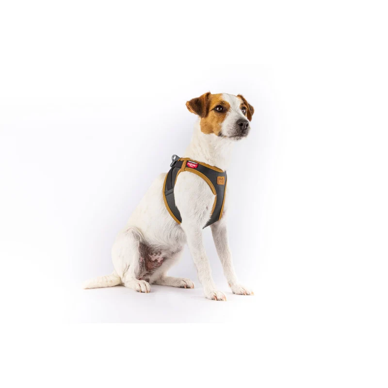 Curli Apple Leather Clasp Vest Geschirr für Hunde