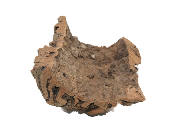Halbe Korkröhre