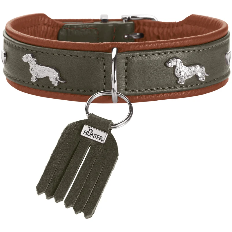 Teckel-Halsband München