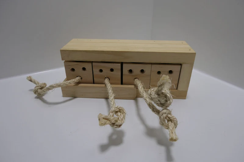 Intelligenzspielzeug Brain