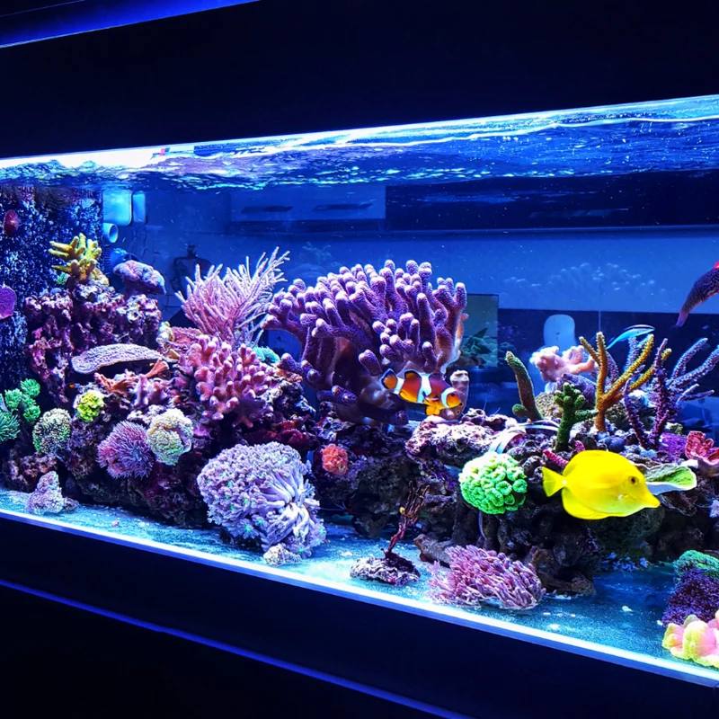 Aquaristik-Starterkurs 05.11.2026