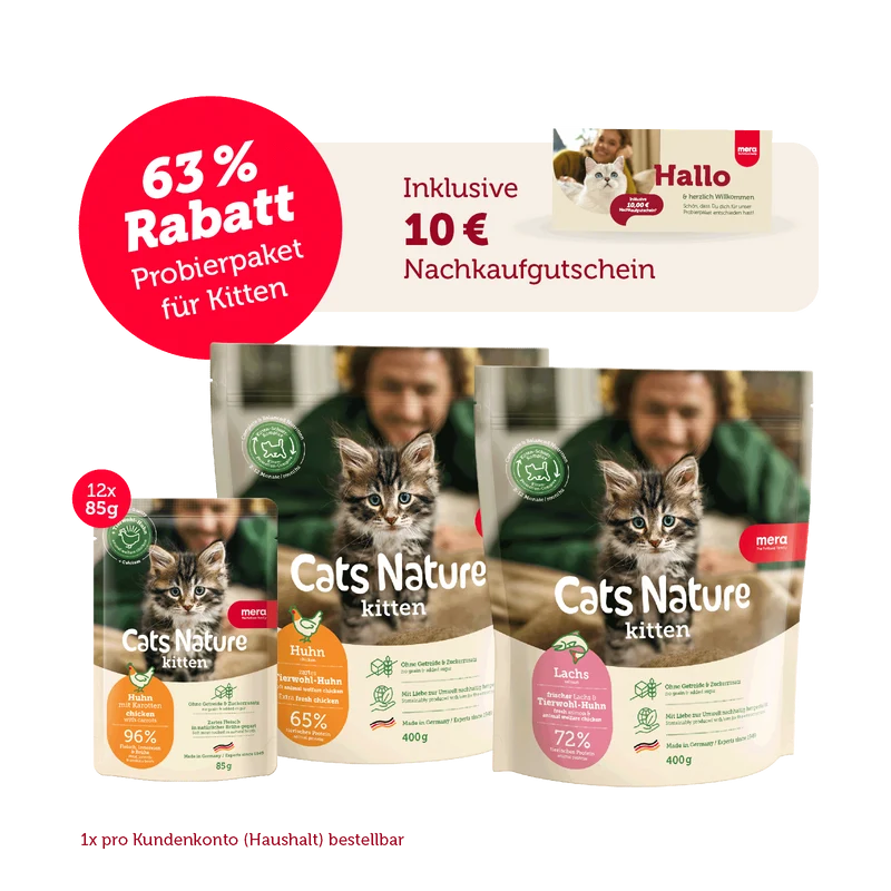 Kittenfutter Probierpaket – inkl. Nachkaufrabatt