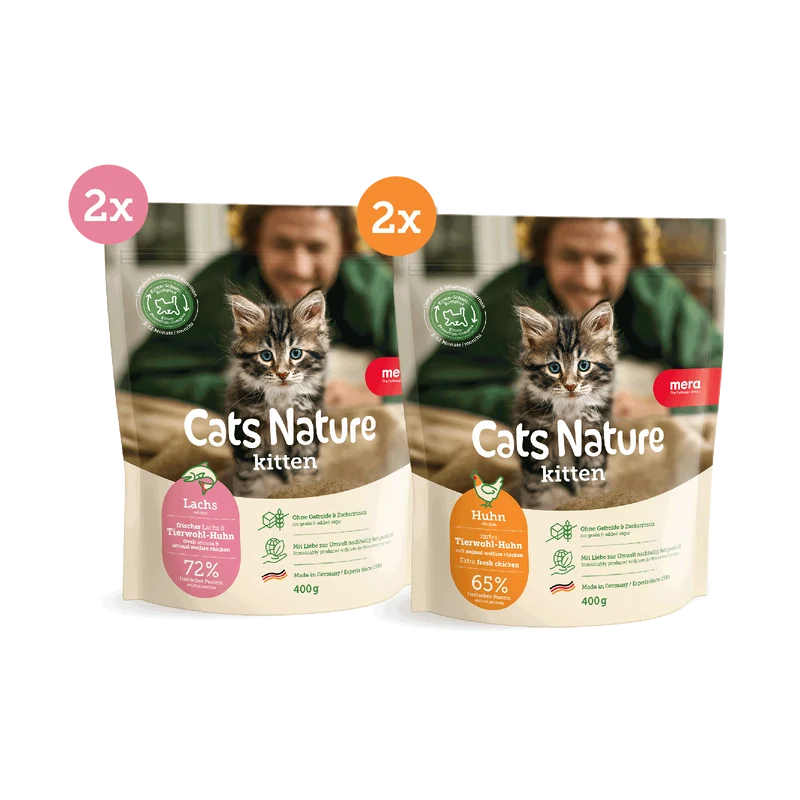 Kitten Trockenfutter Probier-Box (4x 400g)