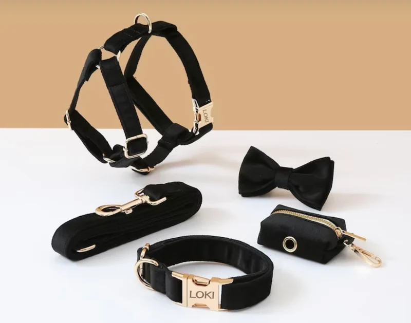 Luxury Black Velvet Personalized Dog Collar & Harness – 5-Piece Set