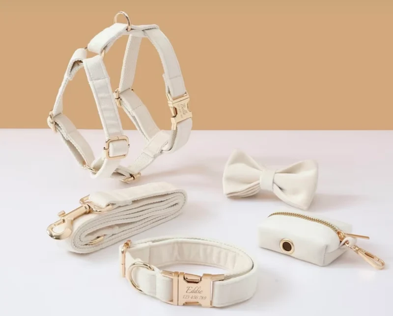Luxury Cream Velvet Personalized Dog Collar & Harness – 5-Piece Set