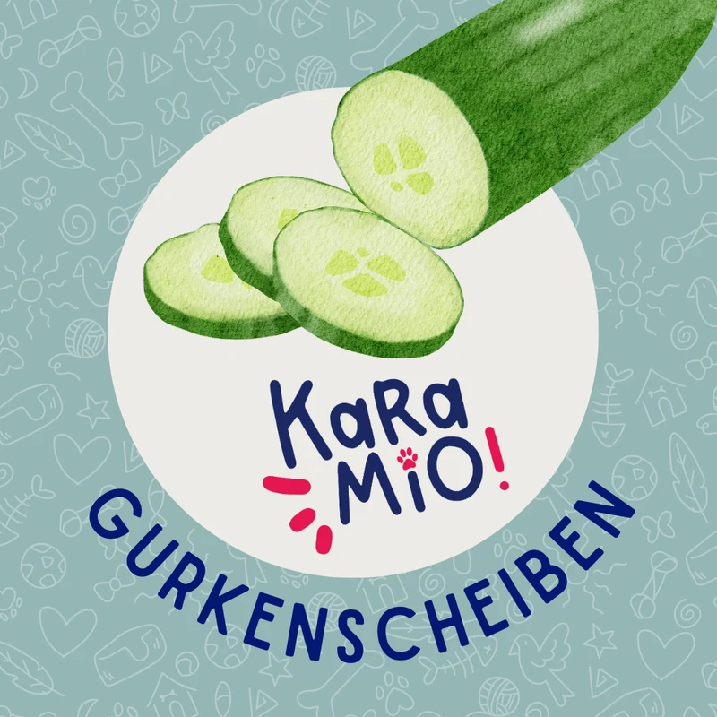 Karamio getrocknete Gurkenscheiben